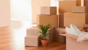 Household Moving Service Mumbai